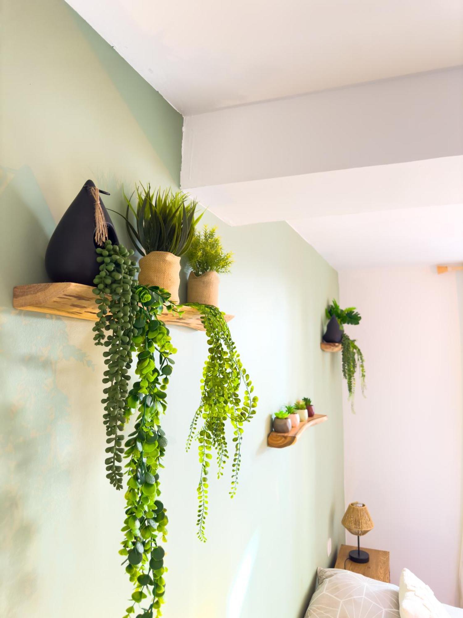 Le Patio ※ Carnot Apartment Carcassonne Luaran gambar